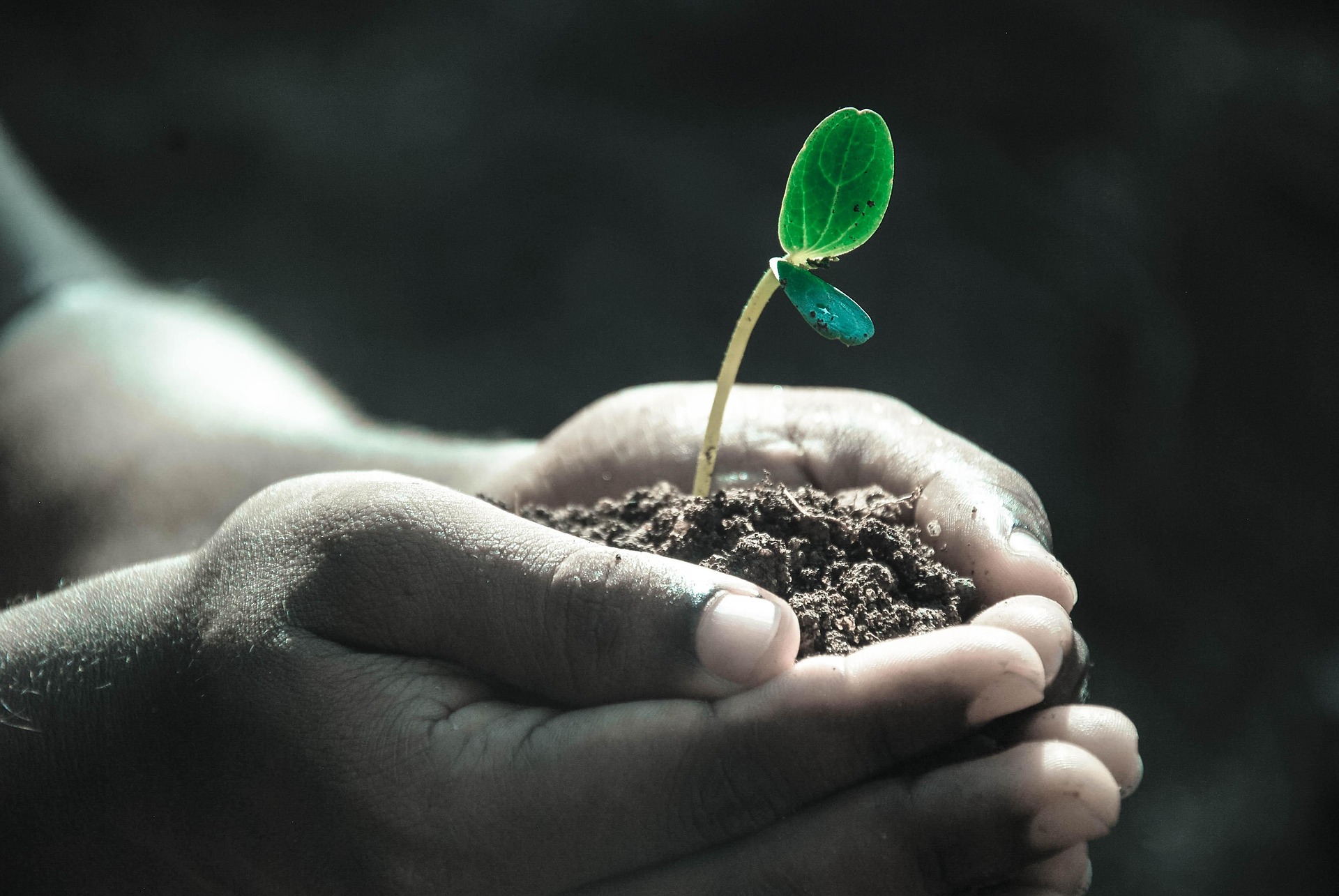 What’s the point of investing? Benefits, risks, and how to get started.